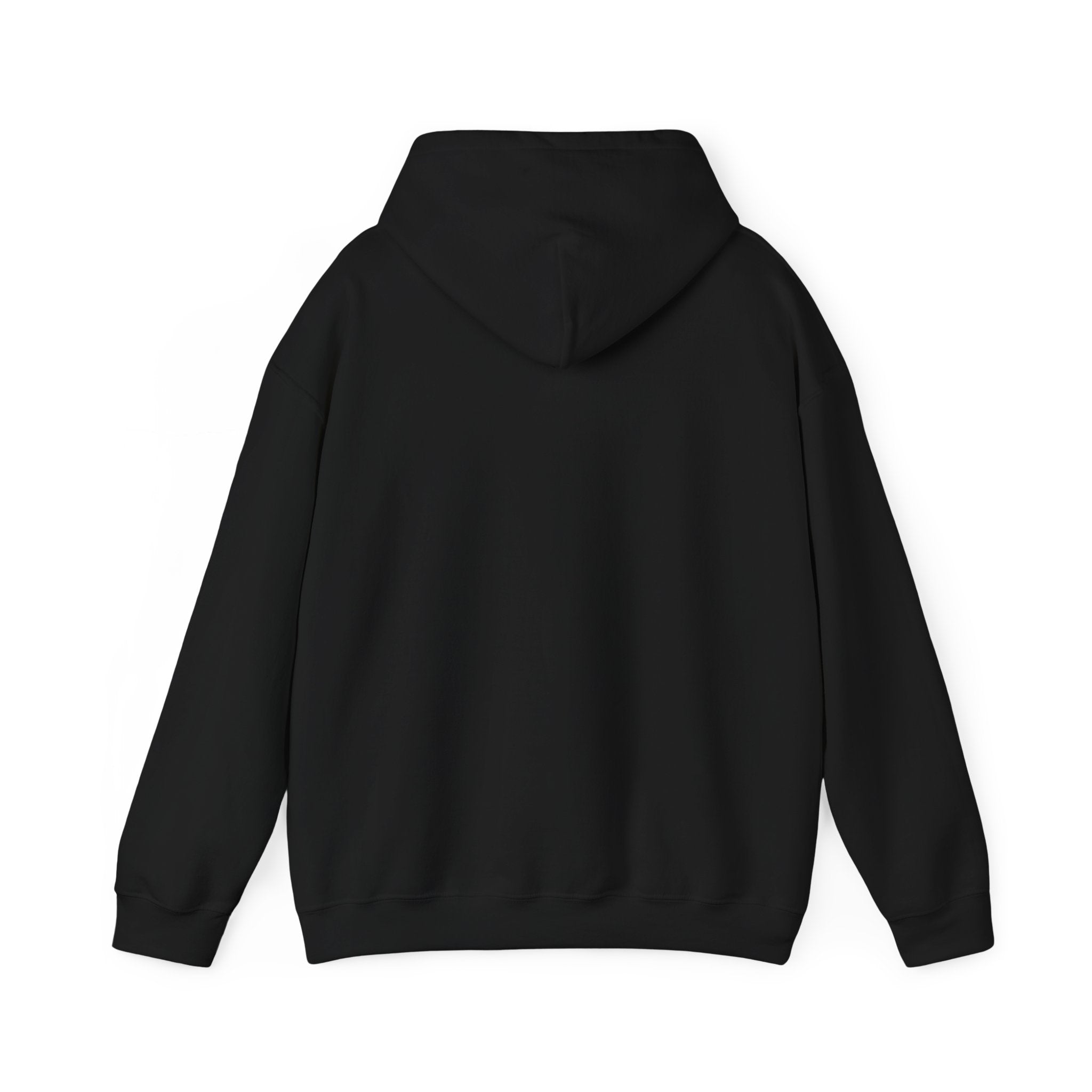I was born this exact same size hoodie